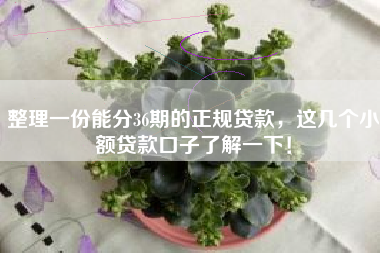 整理一份能分36期的正规贷款，这几个小额贷款口子了解一下！