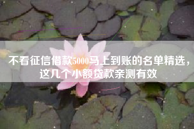 不看征信借款5000马上到账的名单精选，这几个小额贷款亲测有效