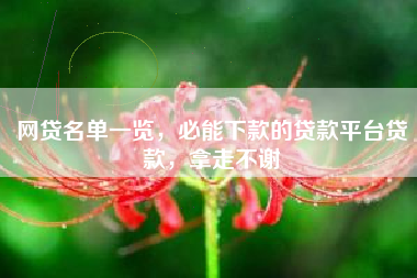 网贷名单一览，必能下款的贷款平台贷款，拿走不谢
