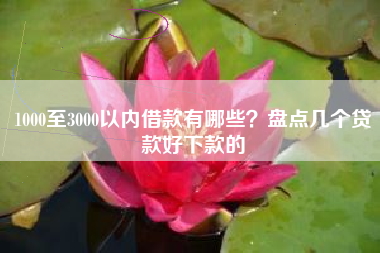1000至3000以内借款有哪些？盘点几个贷款好下款的