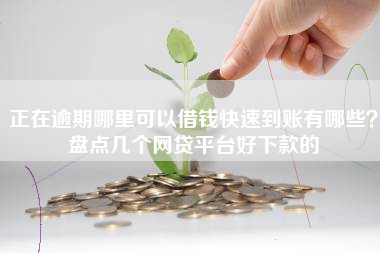 正在逾期哪里可以借钱快速到账有哪些？盘点几个网贷平台好下款的