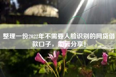 整理一份2022年不需要人脸识别的网贷借款口子，简云分享！
