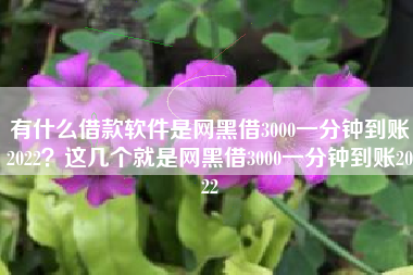 有什么借款软件是网黑借3000一分钟到账2022？这几个就是网黑借3000一分钟到账2022
