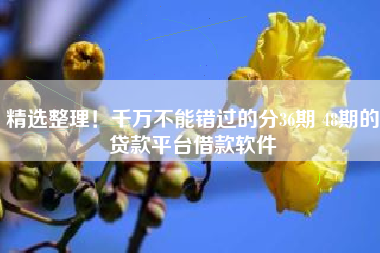精选整理！千万不能错过的分36期 48期的贷款平台借款软件
