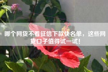 哪个网贷不看征信下款快名单，这些网贷口子值得试一试！