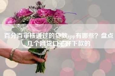 百分百审核通过的贷款app有哪些？盘点几个网贷口子好下款的