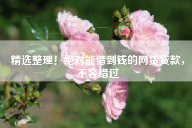 精选整理！绝对能借到钱的网贷贷款，不容错过