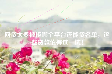 网贷太多被拒哪个平台还能贷名单，这些贷款值得试一试！