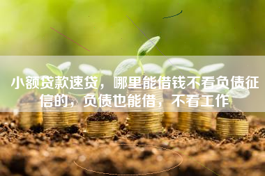 小额贷款速贷，哪里能借钱不看负债征信的，负债也能借，不看工作