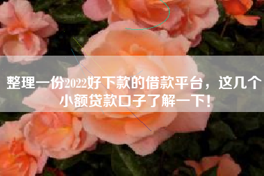 整理一份2022好下款的借款平台，这几个小额贷款口子了解一下！