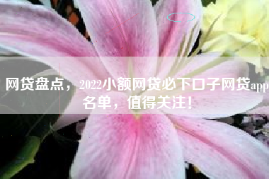 网贷盘点，2022小额网贷必下口子网贷app名单，值得关注！