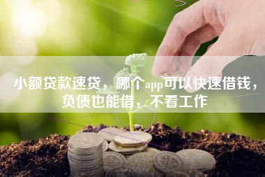 小额贷款速贷，哪个app可以快速借钱，负债也能借，不看工作