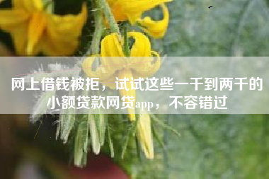 网上借钱被拒，试试这些一千到两千的小额贷款网贷app，不容错过