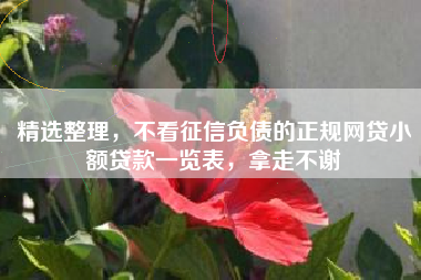 精选整理，不看征信负债的正规网贷小额贷款一览表，拿走不谢
