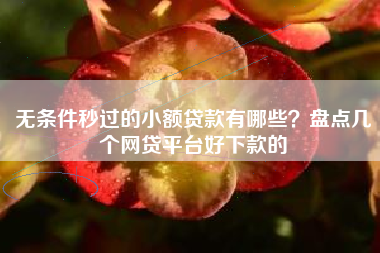 无条件秒过的小额贷款有哪些？盘点几个网贷平台好下款的