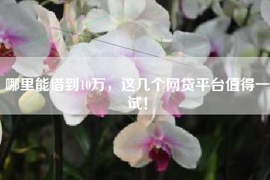 哪里能借到10万，这几个网贷平台值得一试！