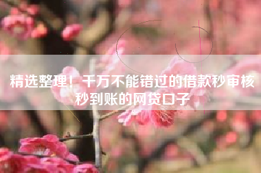精选整理！千万不能错过的借款秒审核秒到账的网贷口子