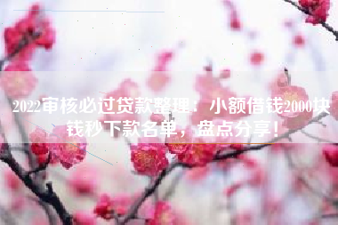 2022审核必过贷款整理：小额借钱2000块钱秒下款名单，盘点分享！
