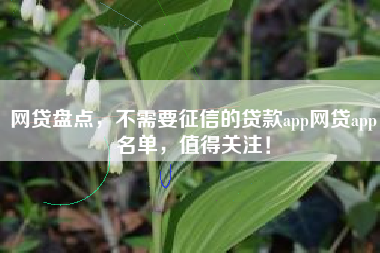 网贷盘点，不需要征信的贷款app网贷app名单，值得关注！