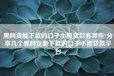 黑网贷能下款的口子小额贷款有哪些?分享几个黑网贷能下款的口子小额贷款平台