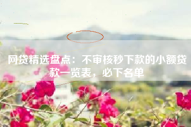 网贷精选盘点：不审核秒下款的小额贷款一览表，必下名单