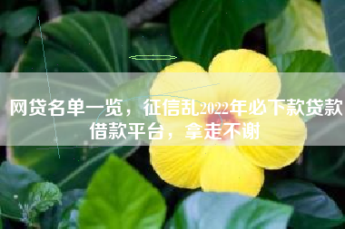 网贷名单一览，征信乱2022年必下款贷款借款平台，拿走不谢