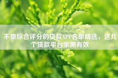 不查综合评分的贷款APP名单精选，这几个贷款平台亲测有效