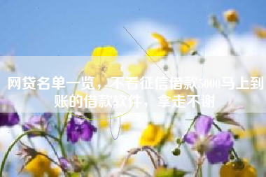 网贷名单一览，不看征信借款5000马上到账的借款软件，拿走不谢
