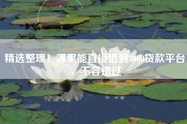 精选整理！哪里能直接借到3000贷款平台，不容错过