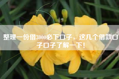整理一份借3000必下口子，这几个借款口子口子了解一下！
