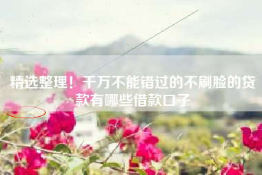 精选整理！千万不能错过的不刷脸的贷款有哪些借款口子