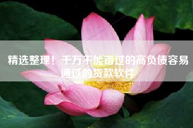 精选整理！千万不能错过的高负债容易通过的贷款软件