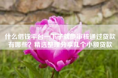 什么借钱平台一下子就能审核通过贷款有哪些？精选整理分享几个小额贷款