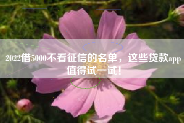 2022借5000不看征信的名单，这些贷款app值得试一试！