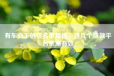 有车必下的贷名单精选，这几个贷款平台亲测有效