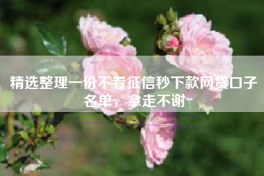 精选整理一份不看征信秒下款网贷口子名单，拿走不谢