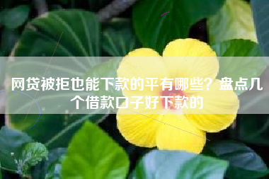 网贷被拒也能下款的平有哪些？盘点几个借款口子好下款的