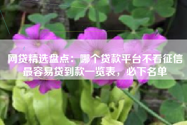 网贷精选盘点：哪个贷款平台不看征信最容易贷到款一览表，必下名单