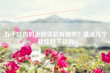 五千以内的小额贷款有哪些？盘点几个软件好下款的