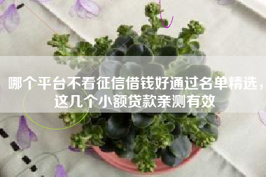 哪个平台不看征信借钱好通过名单精选，这几个小额贷款亲测有效