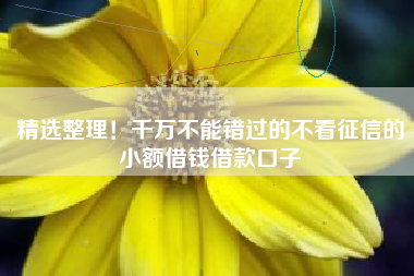 精选整理！千万不能错过的不看征信的小额借钱借款口子