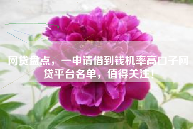 网贷盘点，一申请借到钱机率高口子网贷平台名单，值得关注！