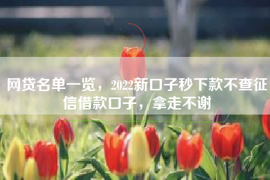 网贷名单一览，2022新口子秒下款不查征信借款口子，拿走不谢