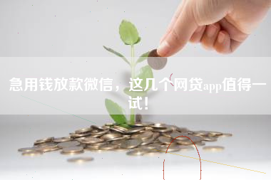 急用钱放款微信，这几个网贷app值得一试！