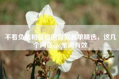 不看负债和征信的贷款名单精选，这几个网贷app亲测有效