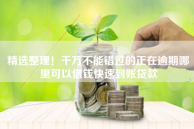 精选整理！千万不能错过的正在逾期哪里可以借钱快速到账贷款