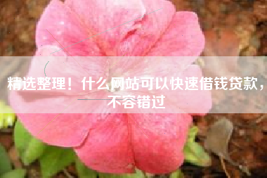 精选整理！什么网站可以快速借钱贷款，不容错过