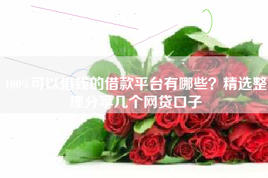100%可以借钱的借款平台有哪些？精选整理分享几个网贷口子