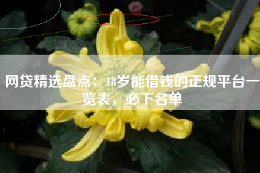 网贷精选盘点：18岁能借钱的正规平台一览表，必下名单