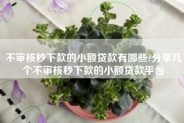 不审核秒下款的小额贷款有哪些?分享几个不审核秒下款的小额贷款平台
